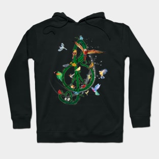 Colorful Bird Musical Note Costume Gift Hoodie